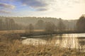 Early spring landscape by the river NemunykÃÂ¡tis, Raigardas Valley, ÃÂ vendubrÃâ village, Lithuania